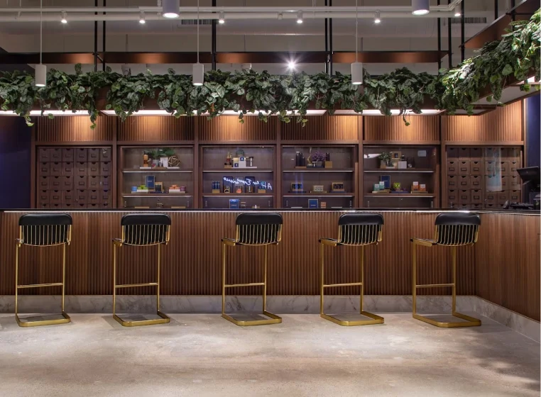 A Cannabist dispensary interior featuring a sleek wooden counter with a marble top and five elegant black and gold barstools. The back wall showcases wooden shelves neatly arranged with premium cannabis products, decorative elements, and small potted plants. Above the counter, a row of lush green hanging plants is suspended from modern pendant lights, adding a touch of nature to the sophisticated design.